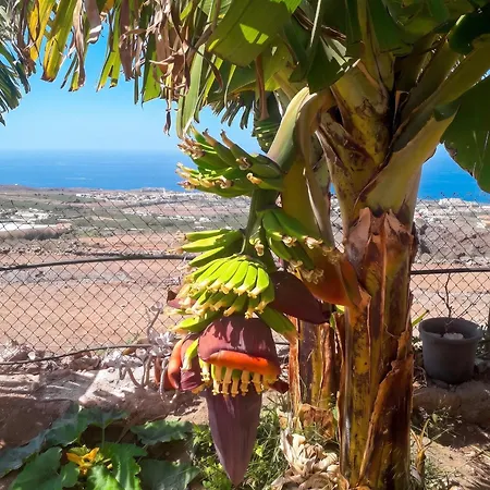 House With View&jacuzzi In Adeje *